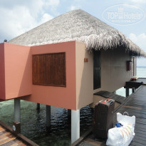 фото из отзыва ID 1019689