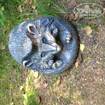 фото из отзыва ID 1019758