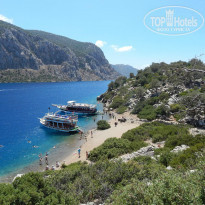 фото из отзыва ID 1018602