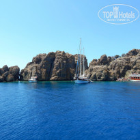 фото из отзыва ID 1018602