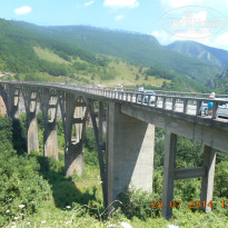 фото из отзыва ID 1011417