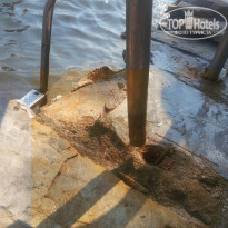 фото из отзыва ID 1017101