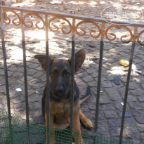 фото из отзыва ID 1017101