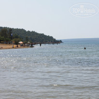 фото из отзыва ID 1016885