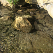 фото из отзыва ID 1010042