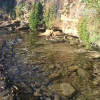 фото из отзыва ID 1010042