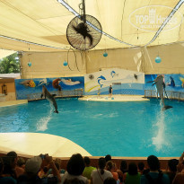 фото из отзыва ID 1018643