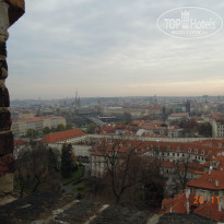 фото из отзыва ID 1017400