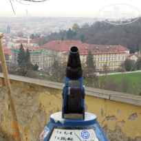 фото из отзыва ID 1017400