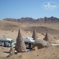 фото из отзыва ID 1010359