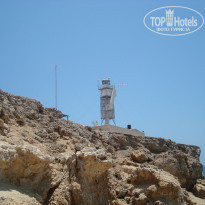 фото из отзыва ID 1010359