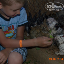 фото из отзыва ID 1016878