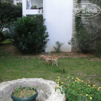 фото из отзыва ID 1014400