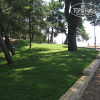 фото из отзыва ID 101768