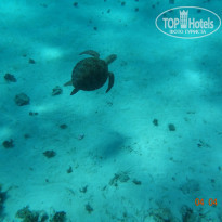 фото из отзыва ID 1020107