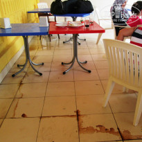 фото из отзыва ID 1020322