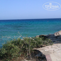 фото из отзыва ID 1020342