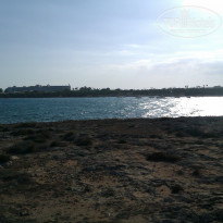 фото из отзыва ID 1020342