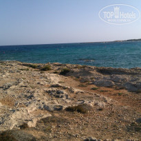 фото из отзыва ID 1020342