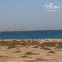 фото из отзыва ID 1020342