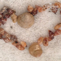 фото из отзыва ID 1020354