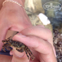 фото из отзыва ID 1020354