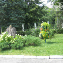 фото из отзыва ID 1020528