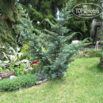 фото из отзыва ID 1020528