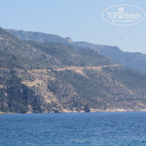 фото из отзыва ID 1020673