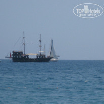 фото из отзыва ID 1020829