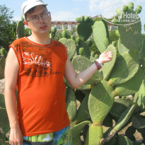 фото из отзыва ID 1020829