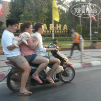 фото из отзыва ID 1020844