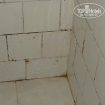 фото из отзыва ID 1021496