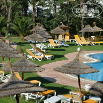 фото из отзыва ID 1021635