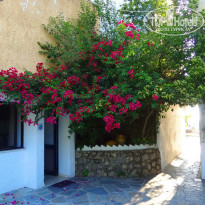 фото из отзыва ID 1021719