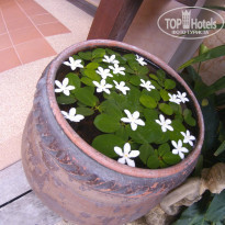 фото из отзыва ID 1021867