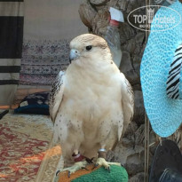 фото из отзыва ID 1022272