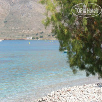 фото из отзыва ID 1022275