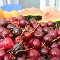 фото из отзыва ID 1022275