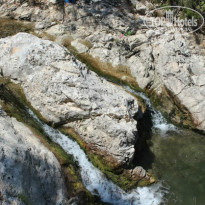 фото из отзыва ID 1022275