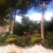 фото из отзыва ID 1022308