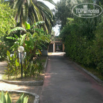 фото из отзыва ID 1022356