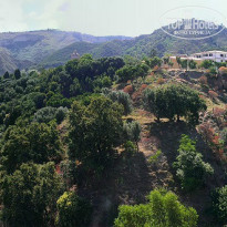 фото из отзыва ID 1022356