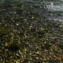 фото из отзыва ID 1022368