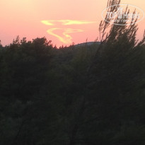 фото из отзыва ID 1022415