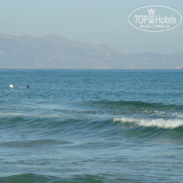 фото из отзыва ID 1022636