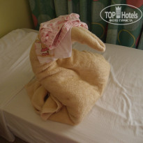 фото из отзыва ID 1023013