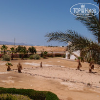 фото из отзыва ID 1023013