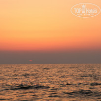 фото из отзыва ID 1023046