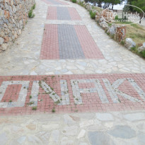 фото из отзыва ID 1023041